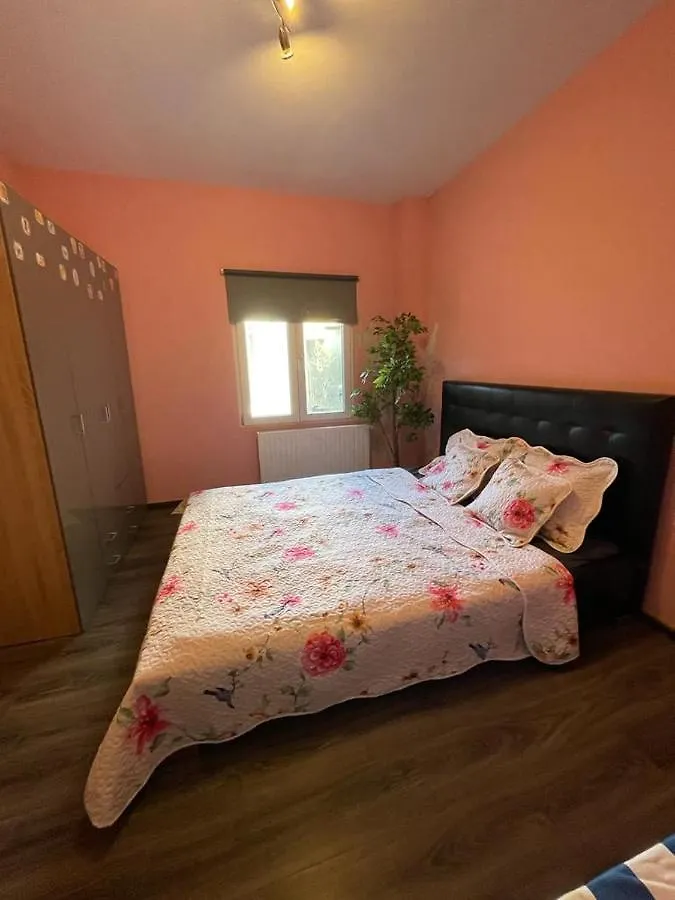 Guest house Right Choice Room Antwerp